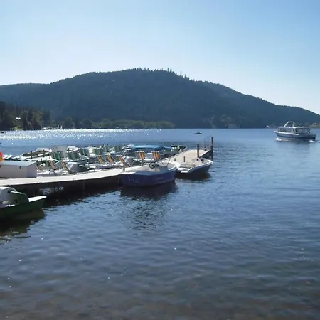 Lakeside Escape A 50m Du Gérardmer